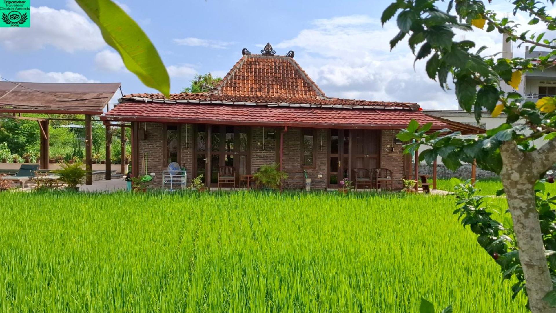 Alamanda Family Villas, Pool & Local Tours Джокякарта Екстериор снимка
